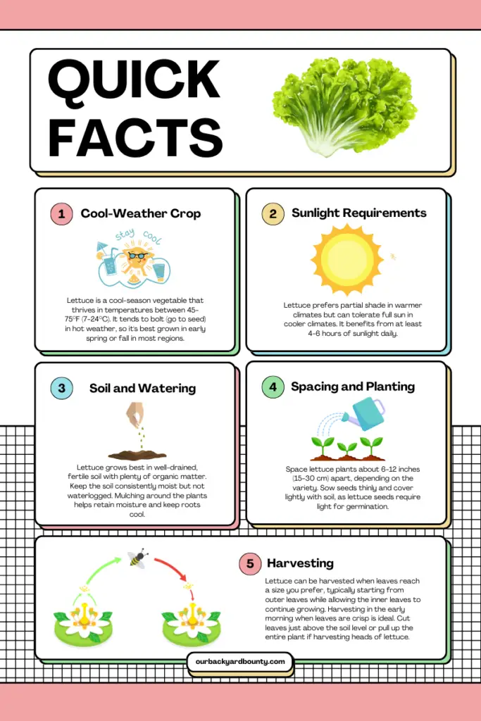 easy vegetables to grow