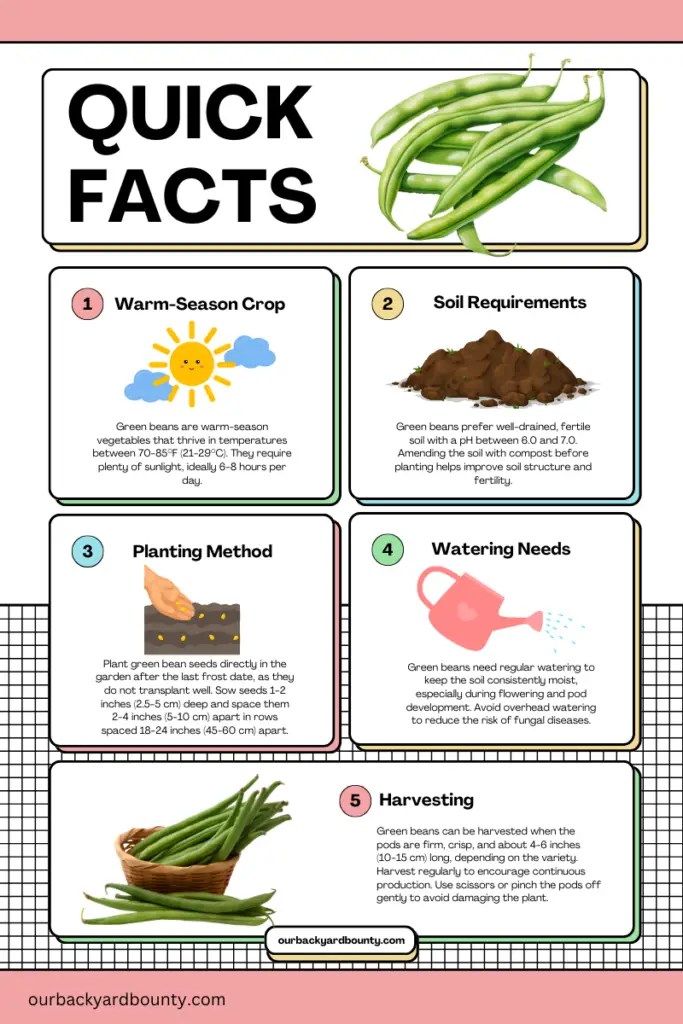 easy vegetables to grow