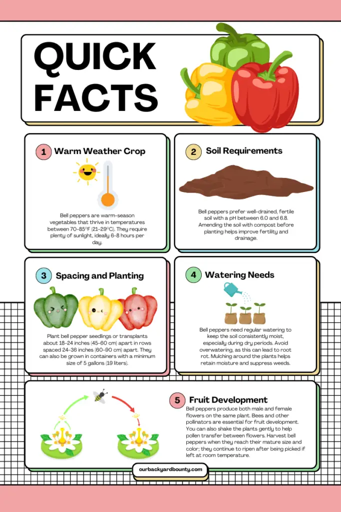 easy vegetables to grow