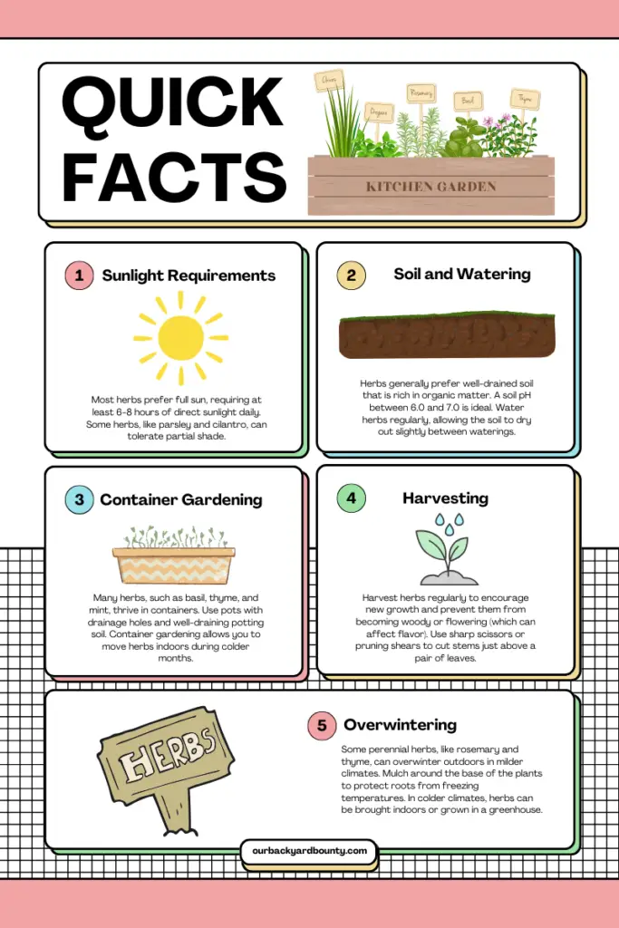 easy vegetables to grow