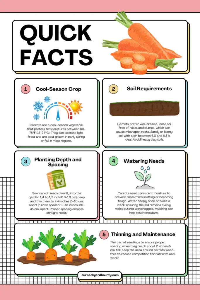 easy vegetables to grow