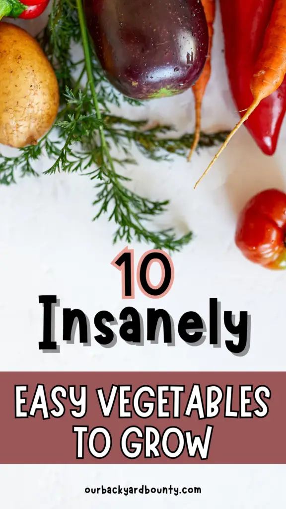 easy vegetables to grow
