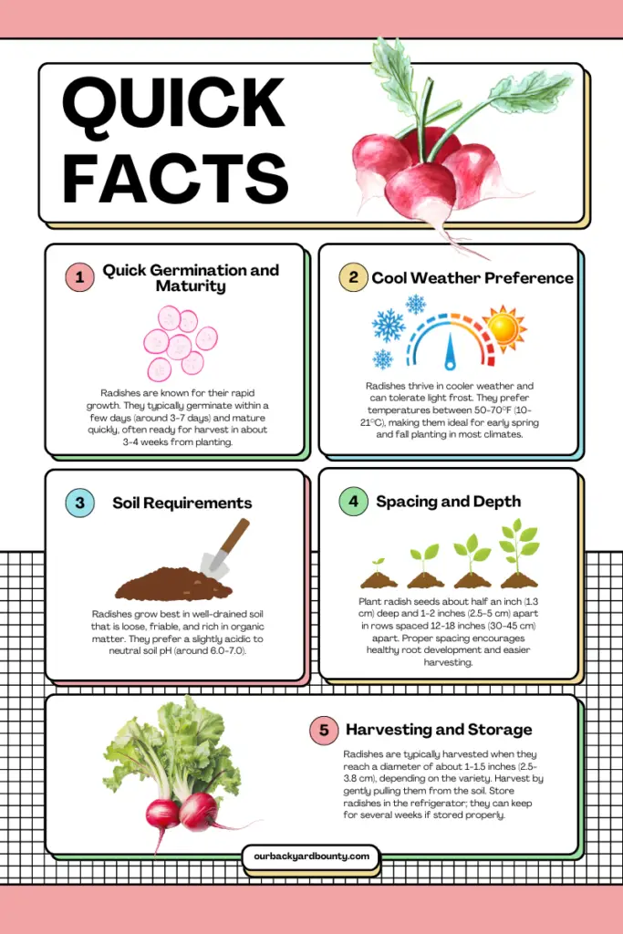 easy vegetables to grow