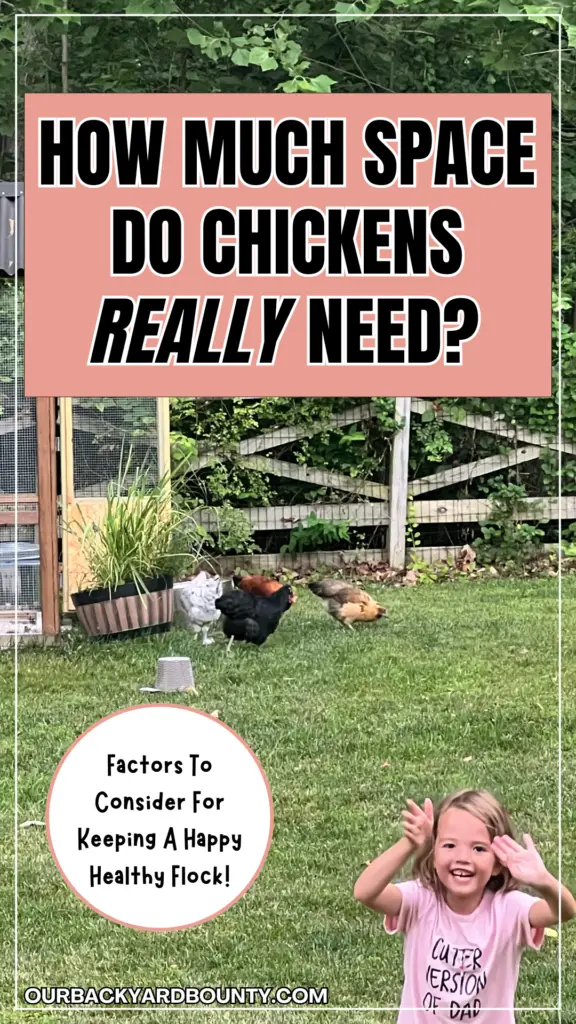 how much space chickens need