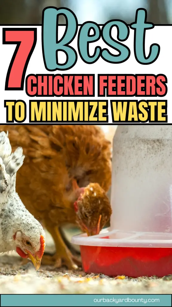 best chicken feeders