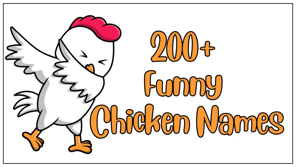 funny chicken names