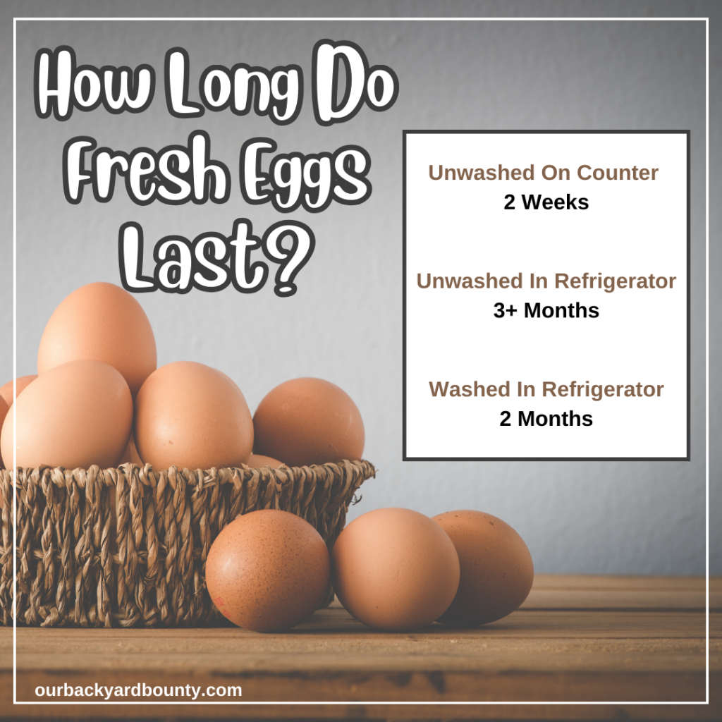how to store fresh eggs - how long do fresh eggs last